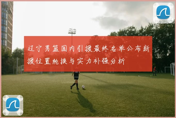 辽宁男篮国内引援最终名单公布新援位置轮换与实力补强分析
