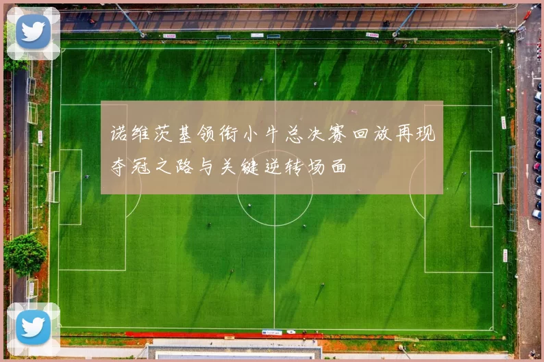 诺维茨基领衔小牛总决赛回放再现夺冠之路与关键逆转场面