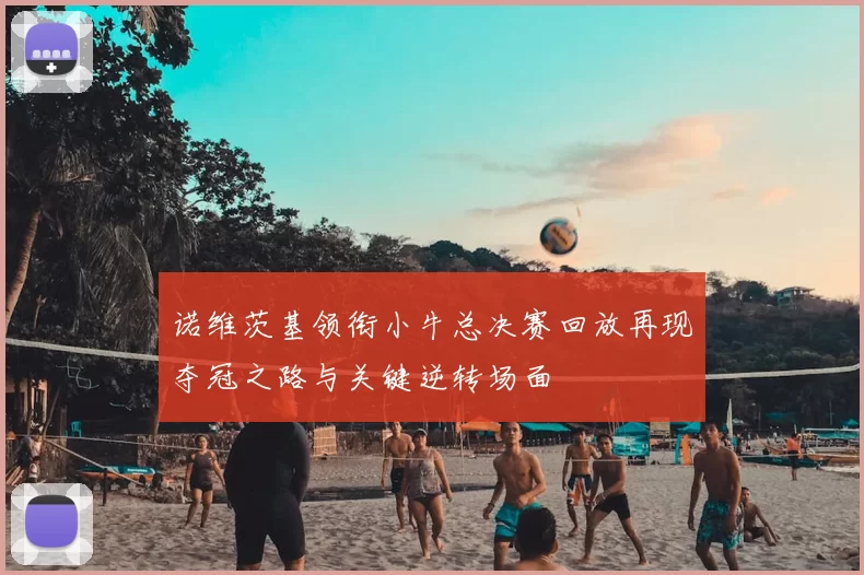 诺维茨基领衔小牛总决赛回放再现夺冠之路与关键逆转场面