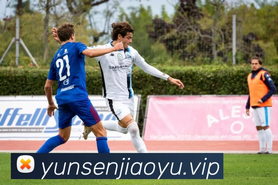 巅峰国际官网 - 追求健康，你我一起成长平台生态图